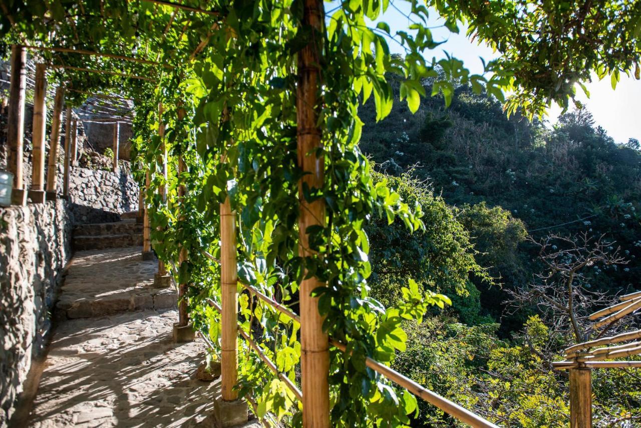 Готель El Picnic Atitlan Tzununa Екстер'єр фото